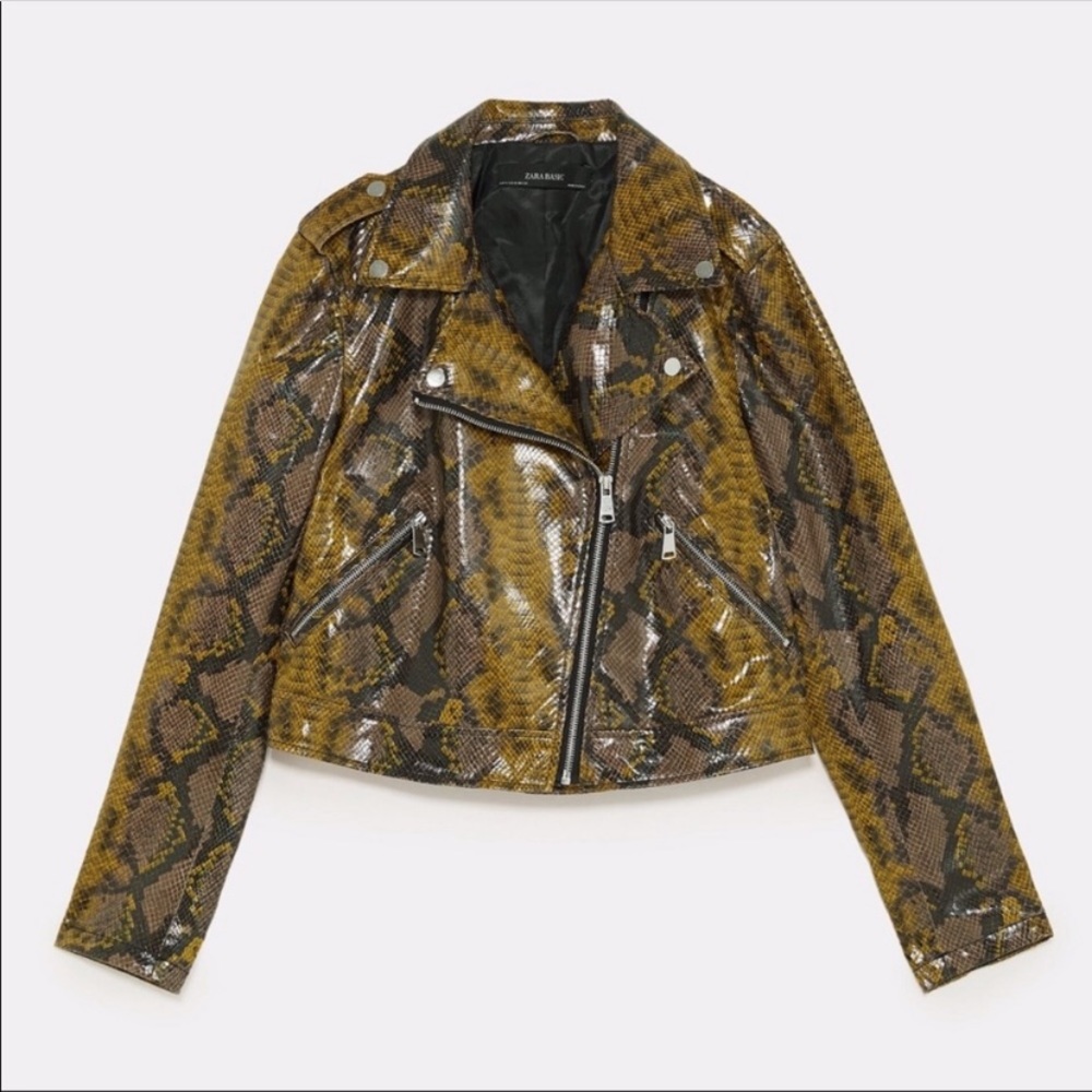 New Zara Snakeskin Jacket - Picture 5 of 7